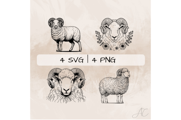 Download Ram SVG Bundle, Male Sheep PNG - Bundle Collection