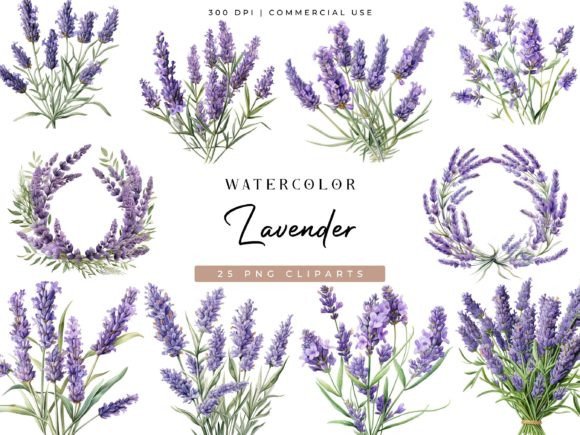 Download Watercolor Lavender Clipart Bundle - Bundle Collection