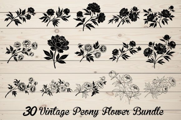 Download 30 Vintage Peony Flower Bundle - Bundle Collection